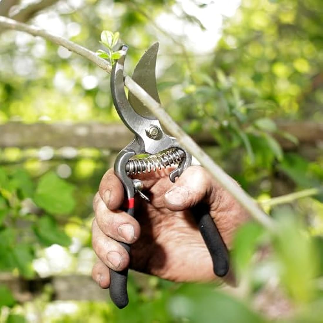 Spear & Jackson CUTTINGSET8 Traditional Bypass and Anvil Secateurs Set, Black