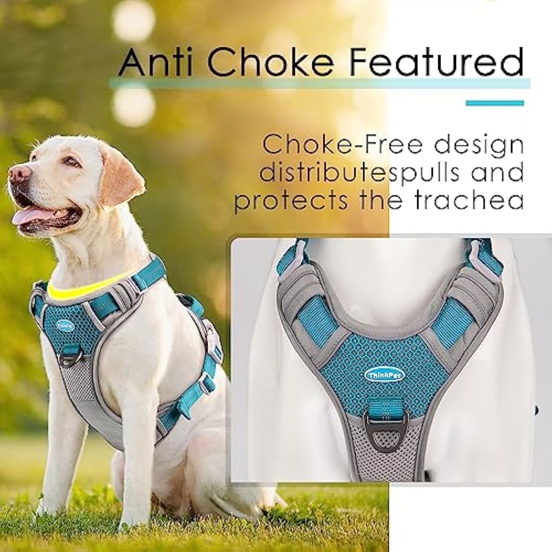 ThinkPet No Pull Harness Breathable Sport Harness with Handle-Dog Harnesses Reflective Adjustable for Medium Large Dogs,Back/Front Clip for Easy Control S Bright Teal