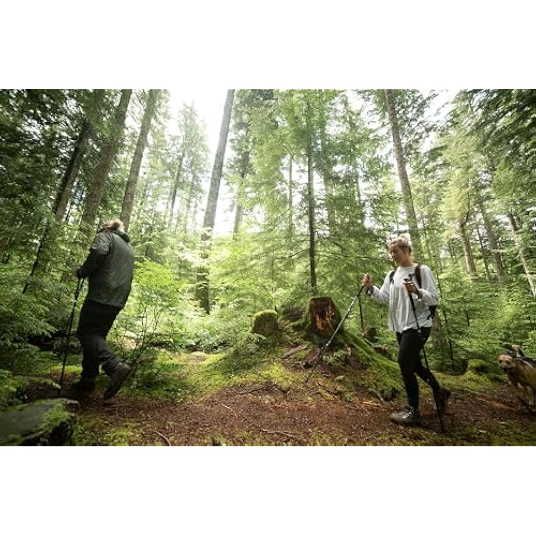 Cascade Mountain Tech Verstellbare Trekkingstöcke aus Aluminium, leicht, Schnellverschluss, 1 Set (2 Stöcke)