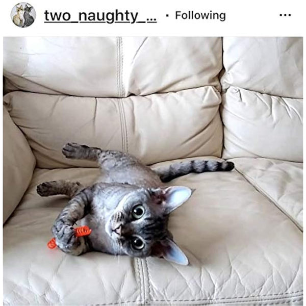 Purrs Flingie Springies Cat Toy - THIN springs -10 Pack Made in UK