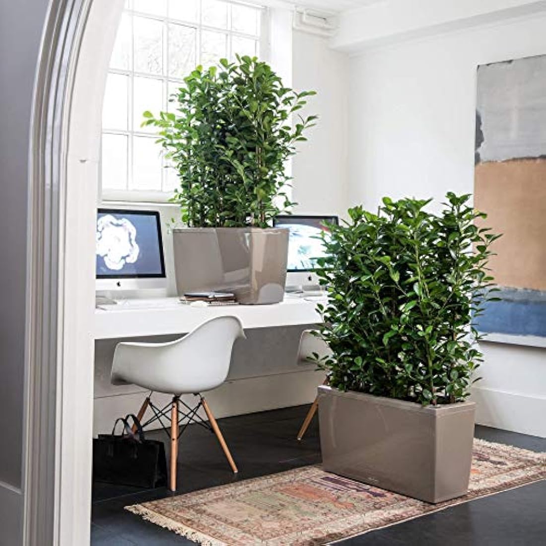 LECHUZA CARARO Premium anthracite metallic 18803