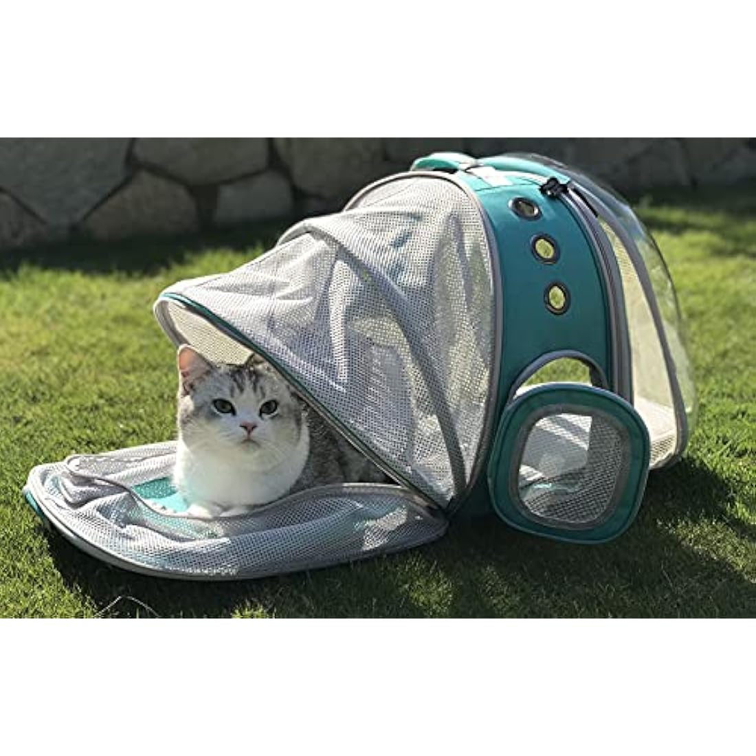 Interfashioner® Expandable Cat Backpack Carrier, Front & Back Dual Extension Clear Bubble Pet Backpack Carrier for Fat Cats Small Dogs up to 9kgs, Backpack for Large Cats