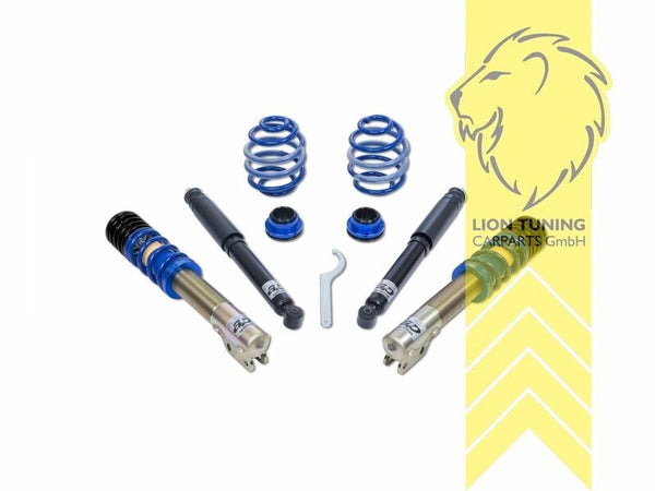 AP Coilovers Lowering Suspension Peugeot 205 1 2 hatchback convertible 83-98