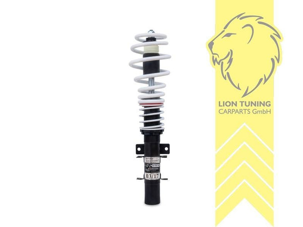 JOM Lowering Coilovers NJT eXtrem Coilover Kit Skoda Fabia 6Y Limo Combi 00-07