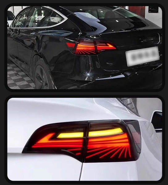 TYPY Pair Tesla Model 3 Y 2019-2022 LED Dynamic Rear Lights Dynamic Tail LHD