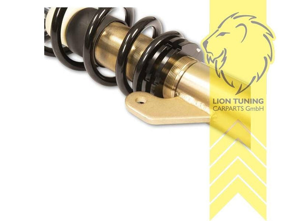 LT DTS Lowering Coilovers Kit BMW 3 Series F30 Limo 4 Series F32 Coupe 11-21