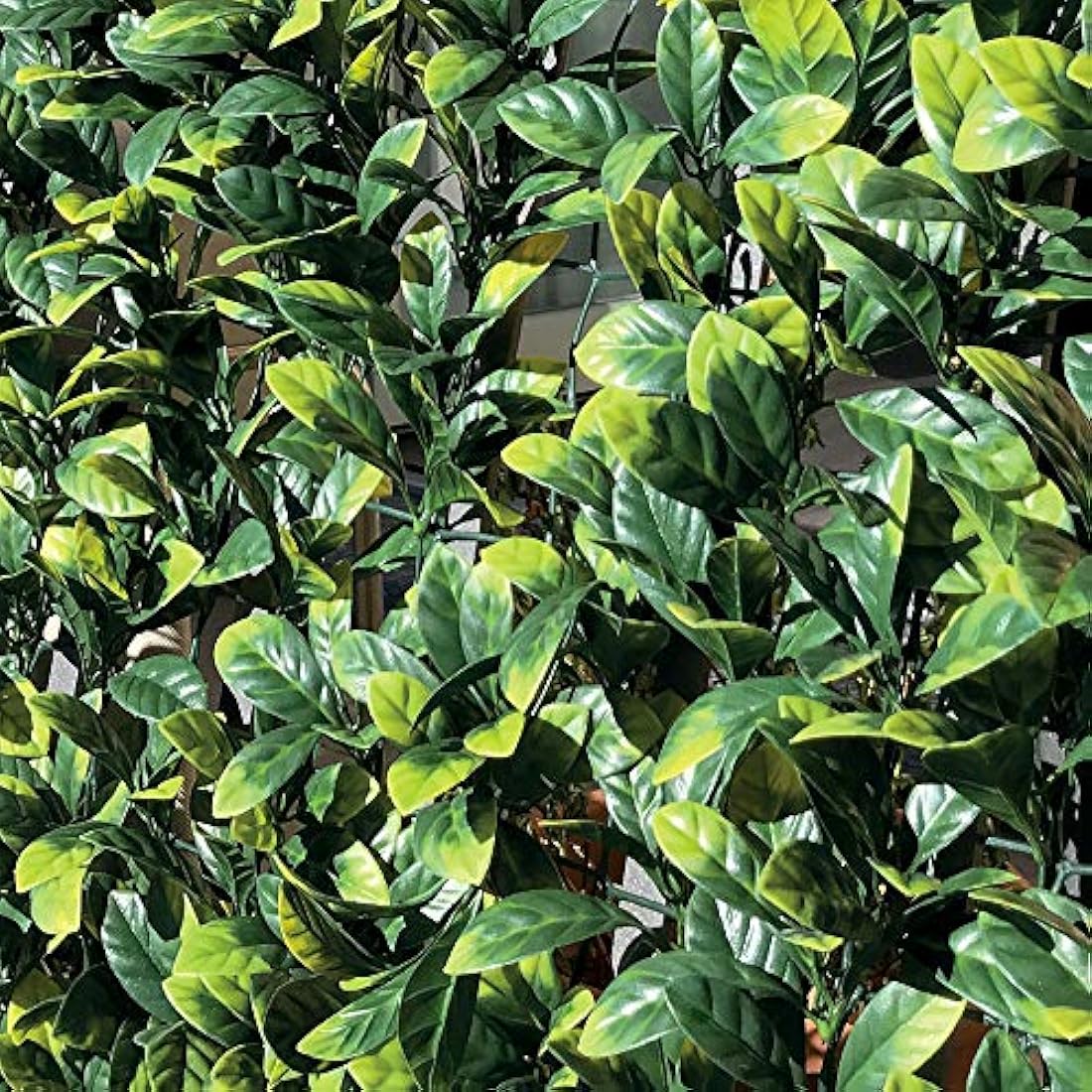 TENAX Divy 3D Plus Laurus, Synthetic Hedge 1.5x3m Leaves Type Laurus on Plastic Net