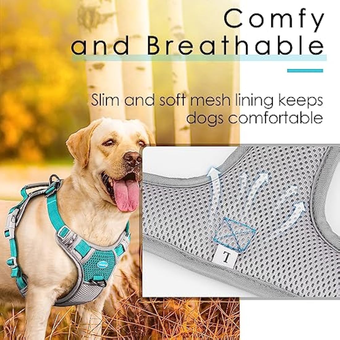 ThinkPet No Pull Harness Breathable Sport Harness with Handle-Dog Harnesses Reflective Adjustable for Medium Large Dogs,Back/Front Clip for Easy Control S Bright Teal