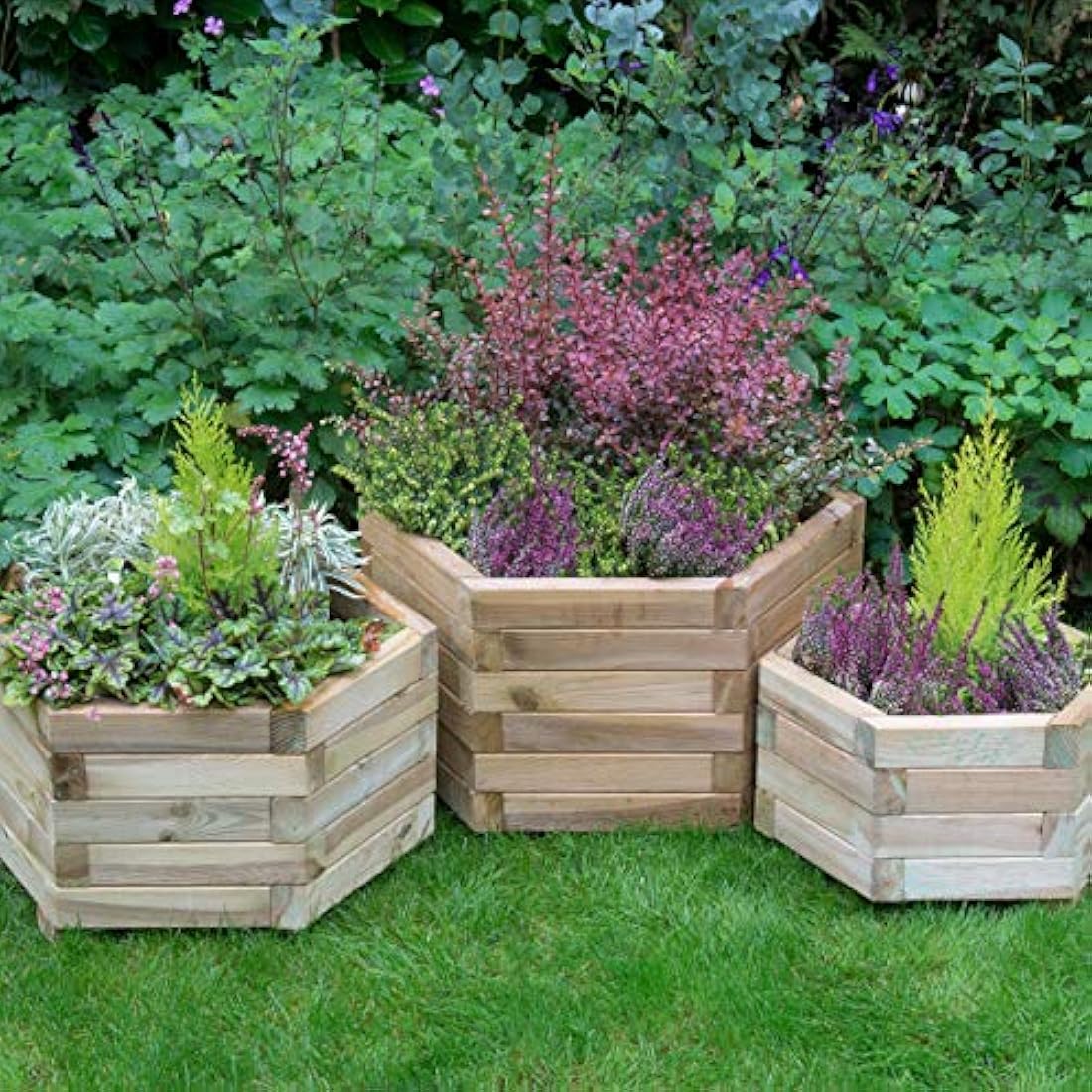 FOREST Garden 3 Sizes Pressure Treated Wooden York Hexagonal Planter (Set of 3)