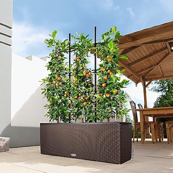 LECHUZA TRIO Cottage 30 mocha 15005