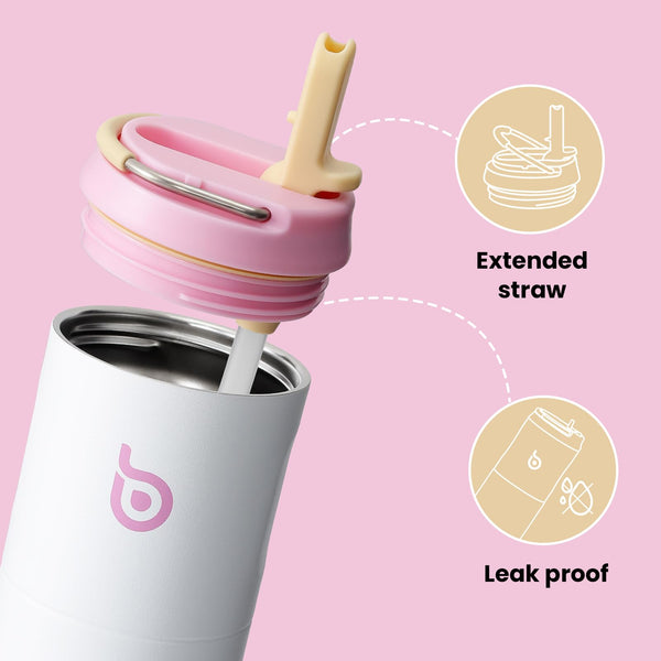 Insulated Water Bottle 700ml(24oz) with Straw, Lid, and Handle - Stainless Steel Sports Travel Gym Bottle for Men and Women (Skiing)