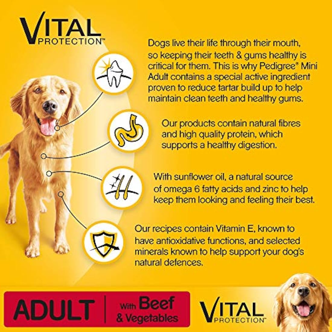 Pedigree Dog Complete Dry with Beef and Vegetable 2.6kg