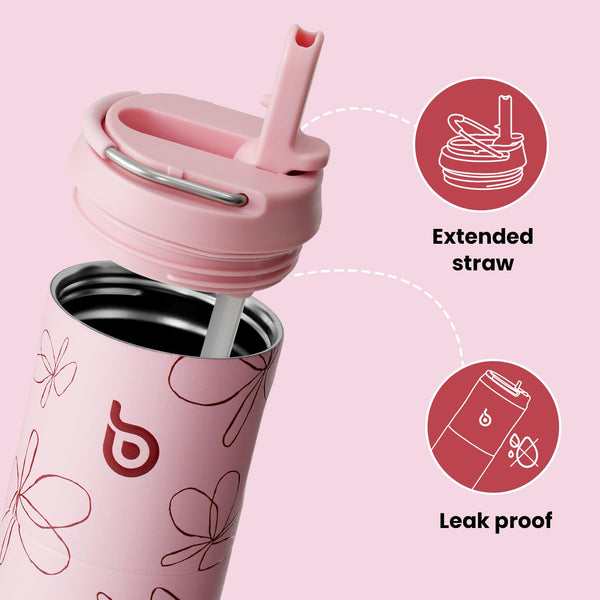 Insulated Water Bottle 700ml(24oz) with Straw, Lid, and Handle - Stainless Steel Sports Travel Gym Bottle for Men and Women (Skiing)