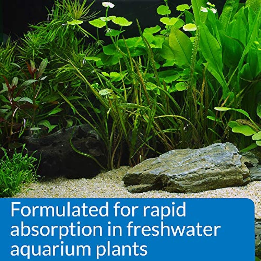 API LEAF ZONE Freshwater Aquarium Plant Fertilizer 473 ml Bottle