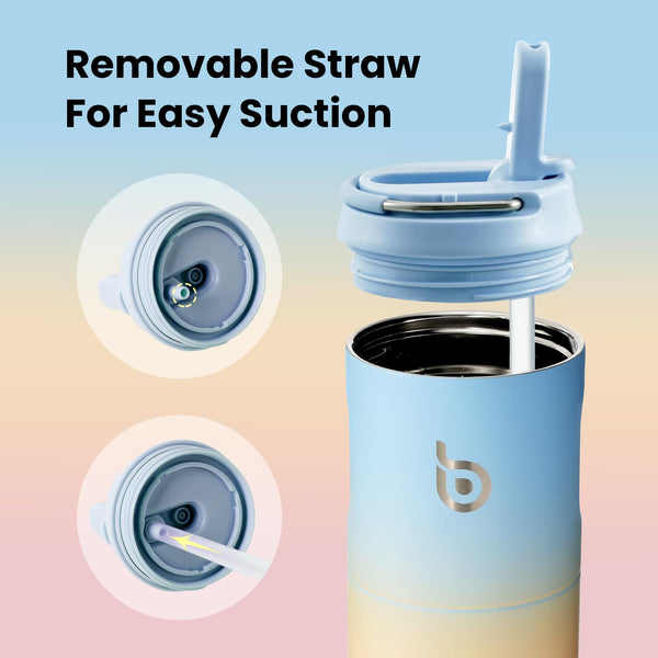 Insulated Water Bottle 700ml(24oz) with Straw, Lid, and Handle - Stainless Steel Sports Travel Gym Bottle for Men and Women (Skiing)