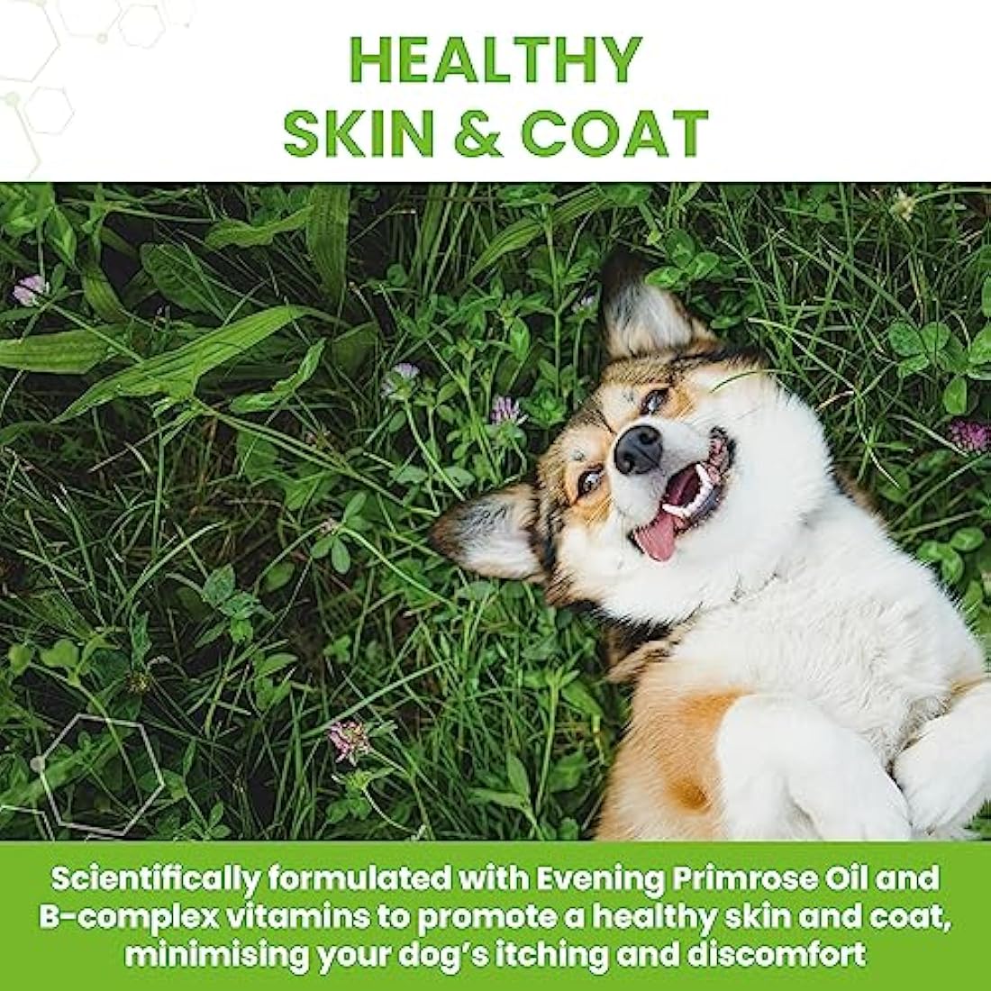 Vetzyme Dry Skin Tablets for Dogs (30 Tablets) - Dry and Itchy Skin Relief, Promotes Healthy and Smooth Skin, Tasty Chicken Flavour