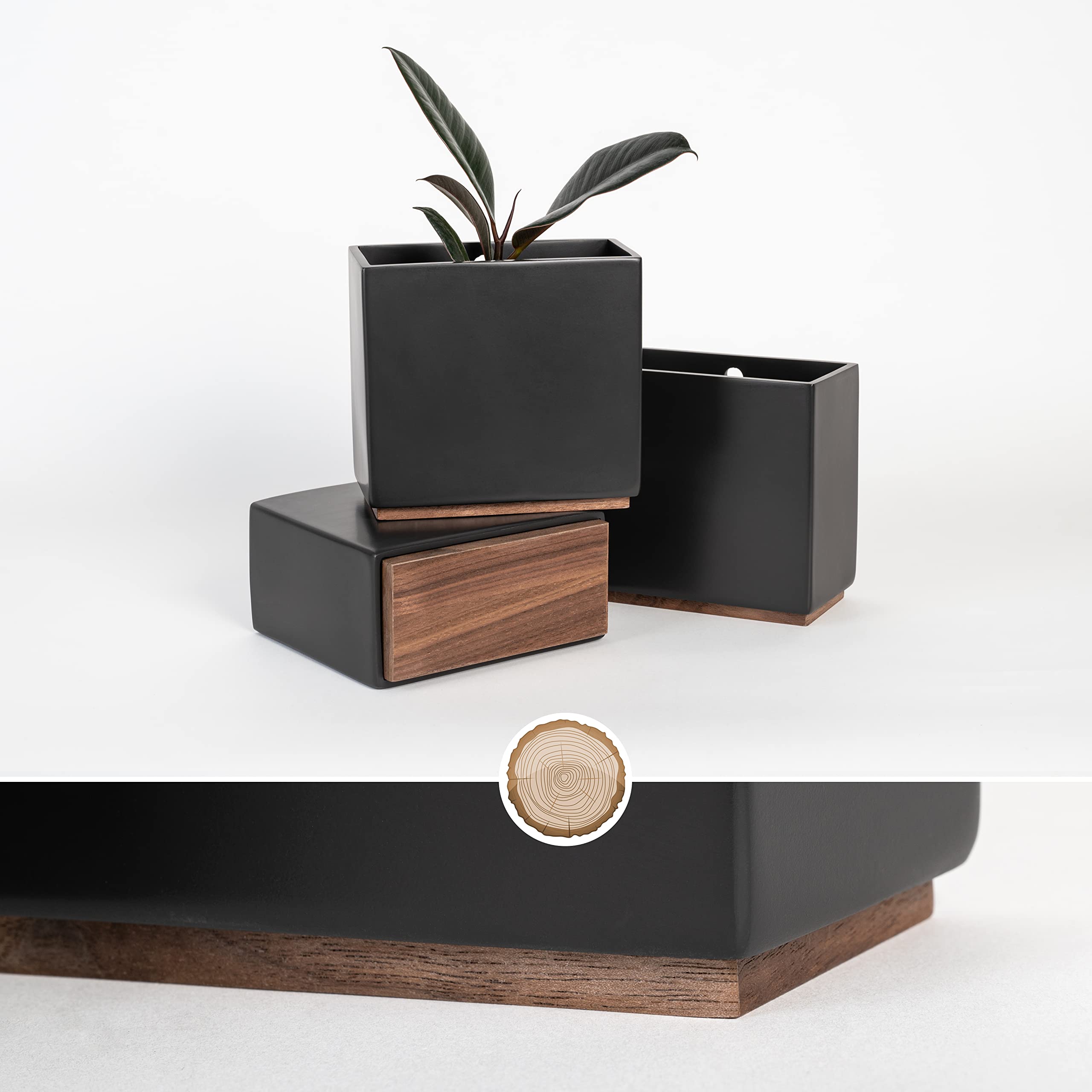 Kazai. Wall Planters -Alma- | 3 Resin Plant Holders for Modern Hanging Plant Display | Wall Planter Set for Indoor Plants, Artificial Plants and more