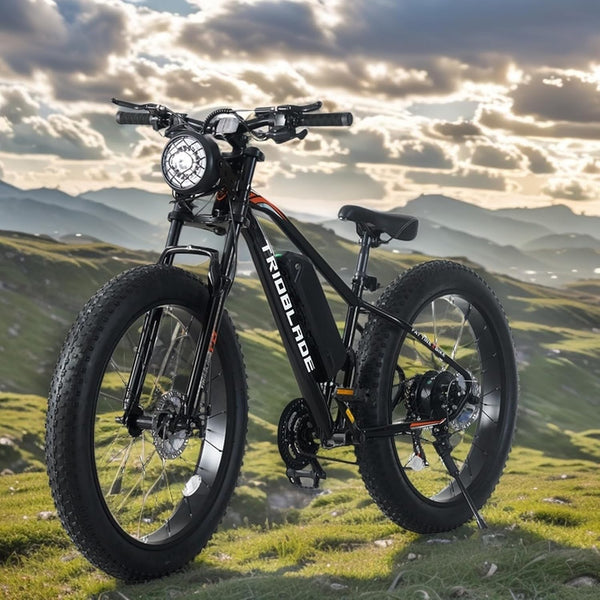 BSTSEL 26 inch Wheels Electric Bike Fat Tires for Adults with 36V 10.4Ah Removable Battery 21-Speed All-Terrain eBike, 250W Motor 25KM/H Electric Mountain Bike for Men Women, 4 Riding Modes