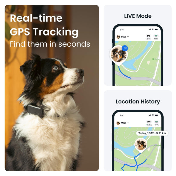 Tractive Smart Dog Tracker | 2025 Edition | Real-time GPS Tracking | Escape & Health Alerts | Vitals Monitoring | Market Leader (Black)