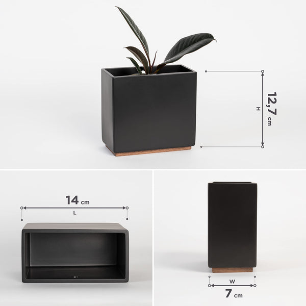 Kazai. Wall Planters -Alma- | 3 Resin Plant Holders for Modern Hanging Plant Display | Wall Planter Set for Indoor Plants, Artificial Plants and more
