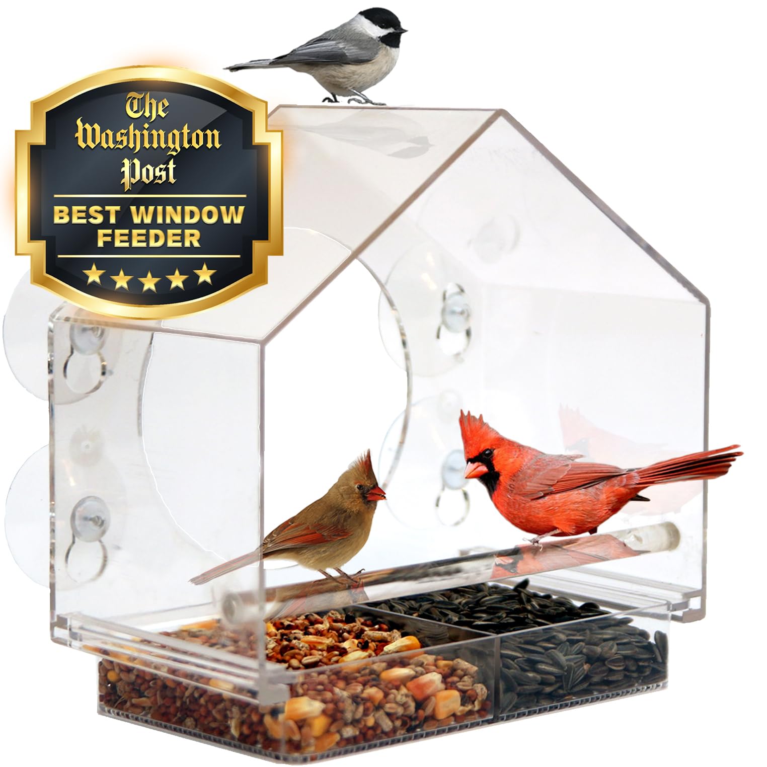 Birds-I-View Window Bird Feeder