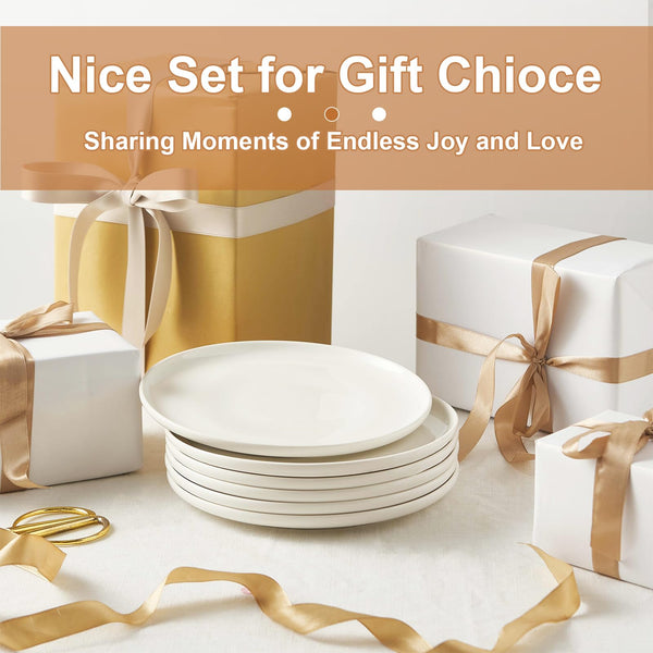 Jassceram 8.5 Inch Small Dinner Plates Set of 6, Ceramic Plates for Salad, Snack, Dessert and Appetizer - Microwave, Oven and Dishwasher Safe, Scratch