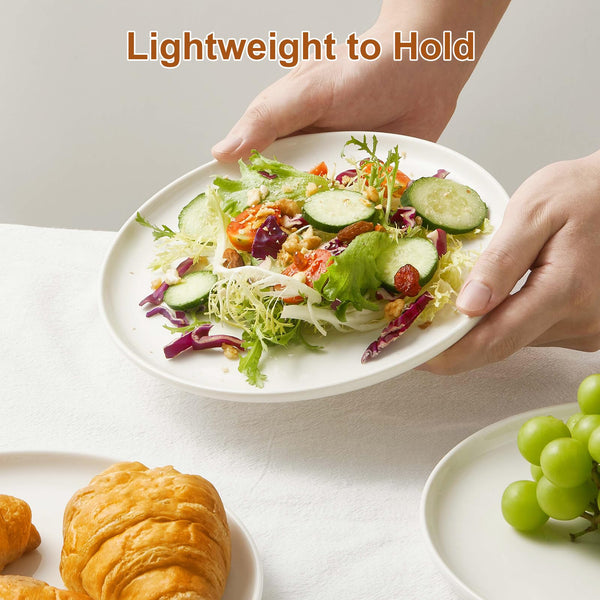 Jassceram 8.5 Inch Small Dinner Plates Set of 6, Ceramic Plates for Salad, Snack, Dessert and Appetizer - Microwave, Oven and Dishwasher Safe, Scratch