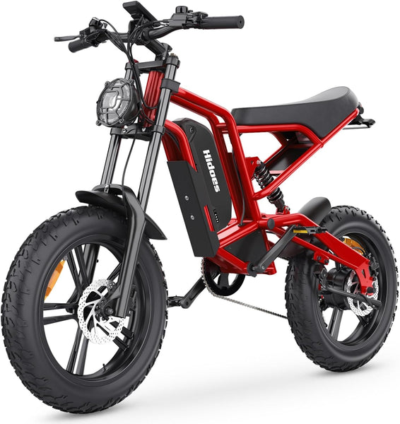 iENYRID Electric Bike for Adults,Fat Tire Hidoes B6 25KM/H Electric Bike Bicycles 15Ah Removable Battery E Bikes for Adults Electric Mountain Bike for Men