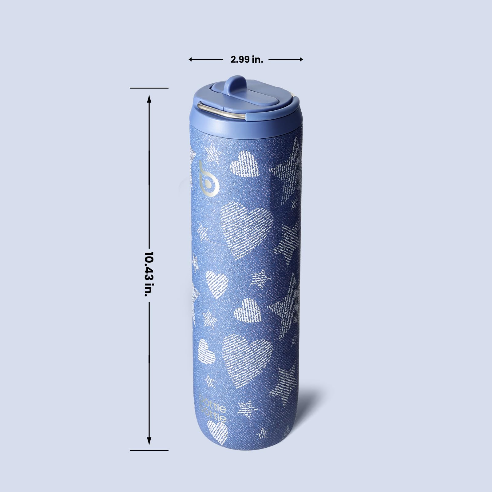Insulated Water Bottle 700ml(24oz) with Straw, Lid, and Handle - Stainless Steel Sports Travel Gym Bottle for Men and Women (Skiing)