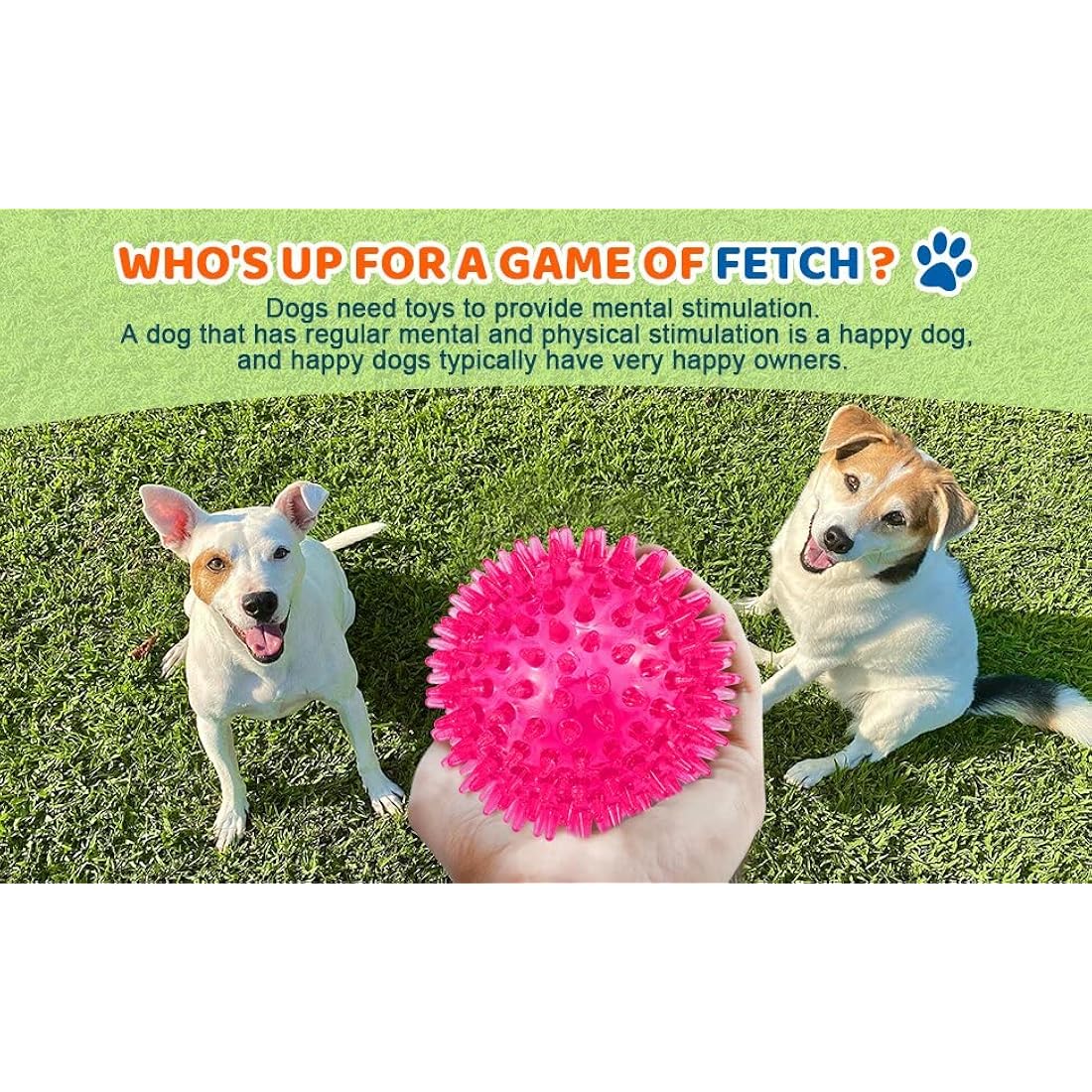 petizer 3-Pack Squeaky & Floating Dog Balls - Interactive Fetch Toys for Medium/Large Dogs