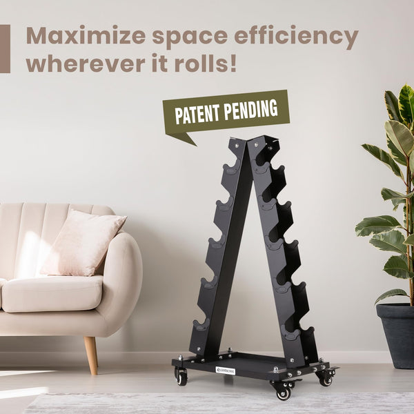 LIONSCOOL Premium Solid Steel Dumbbell Rack Stand Only, A-Frame Portable Weight Storage Organizer with Tray and Wheels (Medium, 300 LBS)