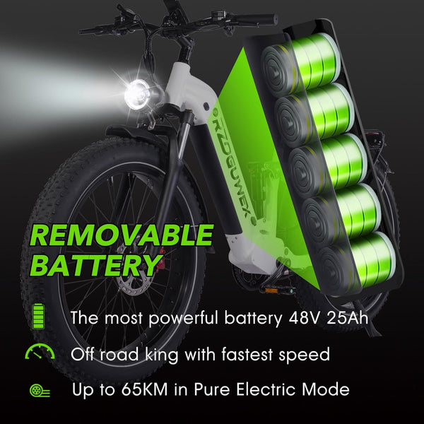 RZOGUWEX Electric Bicycle，26 Inch Off-Road EBIKE for Adults with 48V 25AH Detachable Lithium Ion Battery, 7 Speed with Dual Shock Absorbers and Dual Hydraulic Disc Brake(Black)