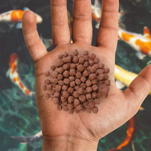 Nishikoi Growth Complete Food for Koi and Pond Fish - Large Pellets - 2.5kg
