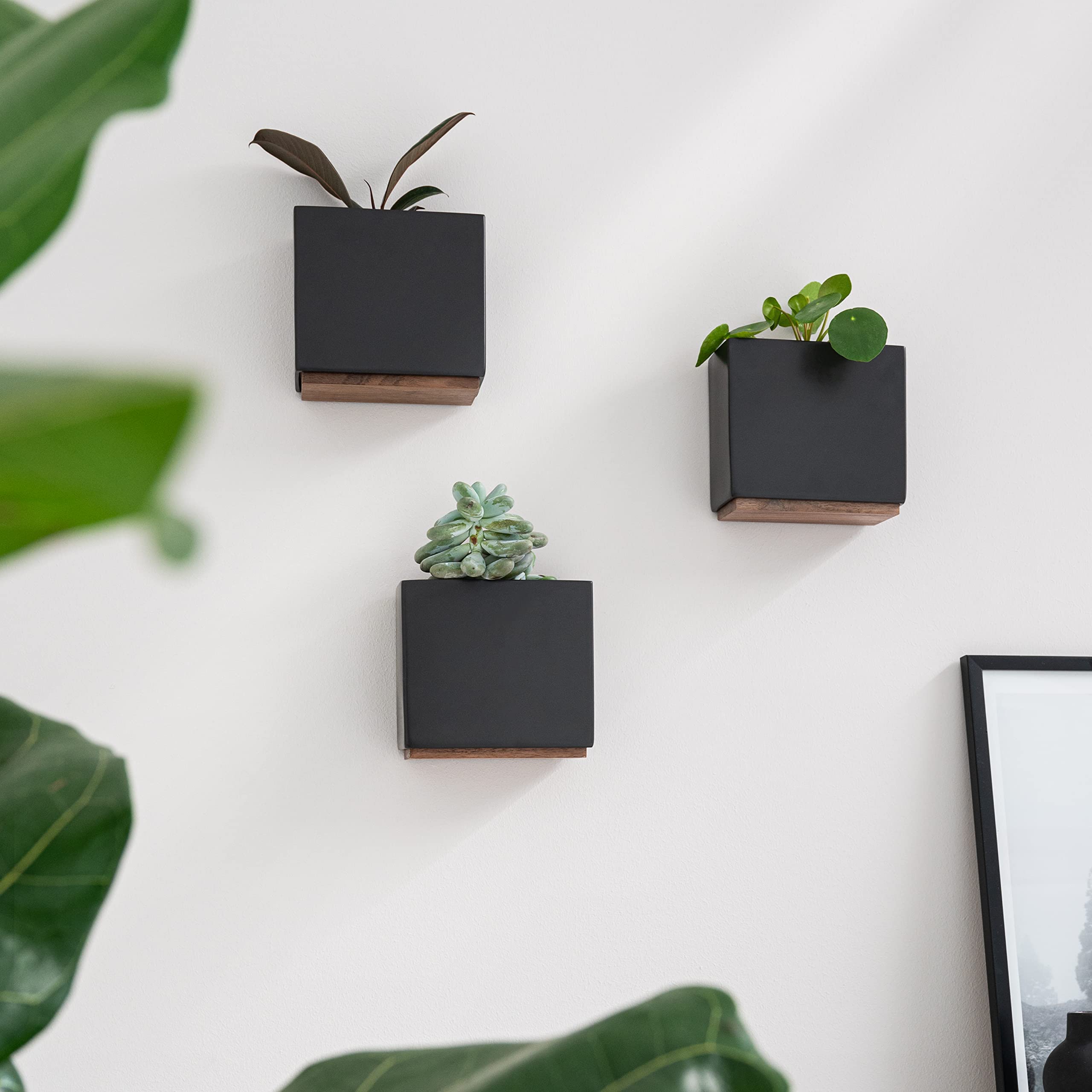 Kazai. Wall Planters -Alma- | 3 Resin Plant Holders for Modern Hanging Plant Display | Wall Planter Set for Indoor Plants, Artificial Plants and more