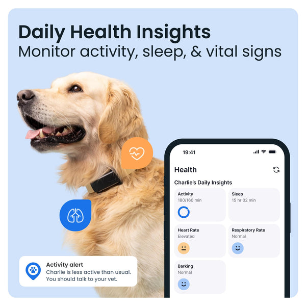 Tractive Smart Dog Tracker | 2025 Edition | Real-time GPS Tracking | Escape & Health Alerts | Vitals Monitoring | Market Leader (Black)
