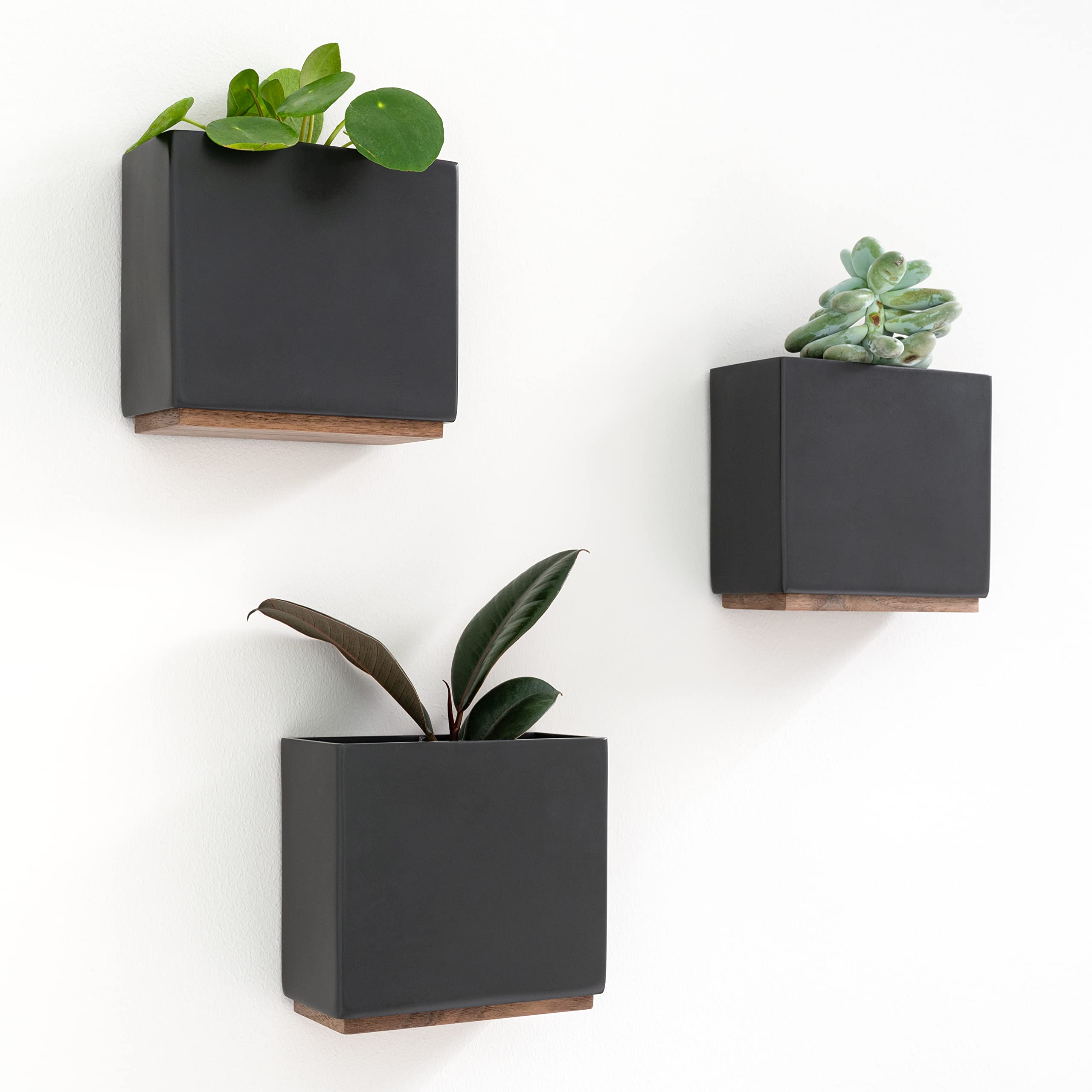 Kazai. Wall Planters -Alma- | 3 Resin Plant Holders for Modern Hanging Plant Display | Wall Planter Set for Indoor Plants, Artificial Plants and more