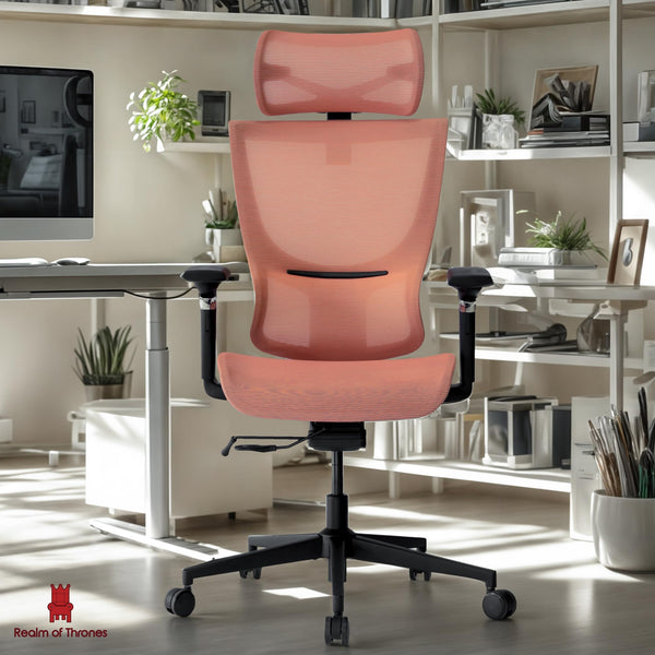 Realm of Thrones CAPTAIN Ergonomic Office Chair for Home, Heavy Duty Steel Base, Versatile Flip-up Armrests, Adjustable Lumbar Support, Mesh Back Comfort Cushion Seat for Computer Desk/Gaming (Black)