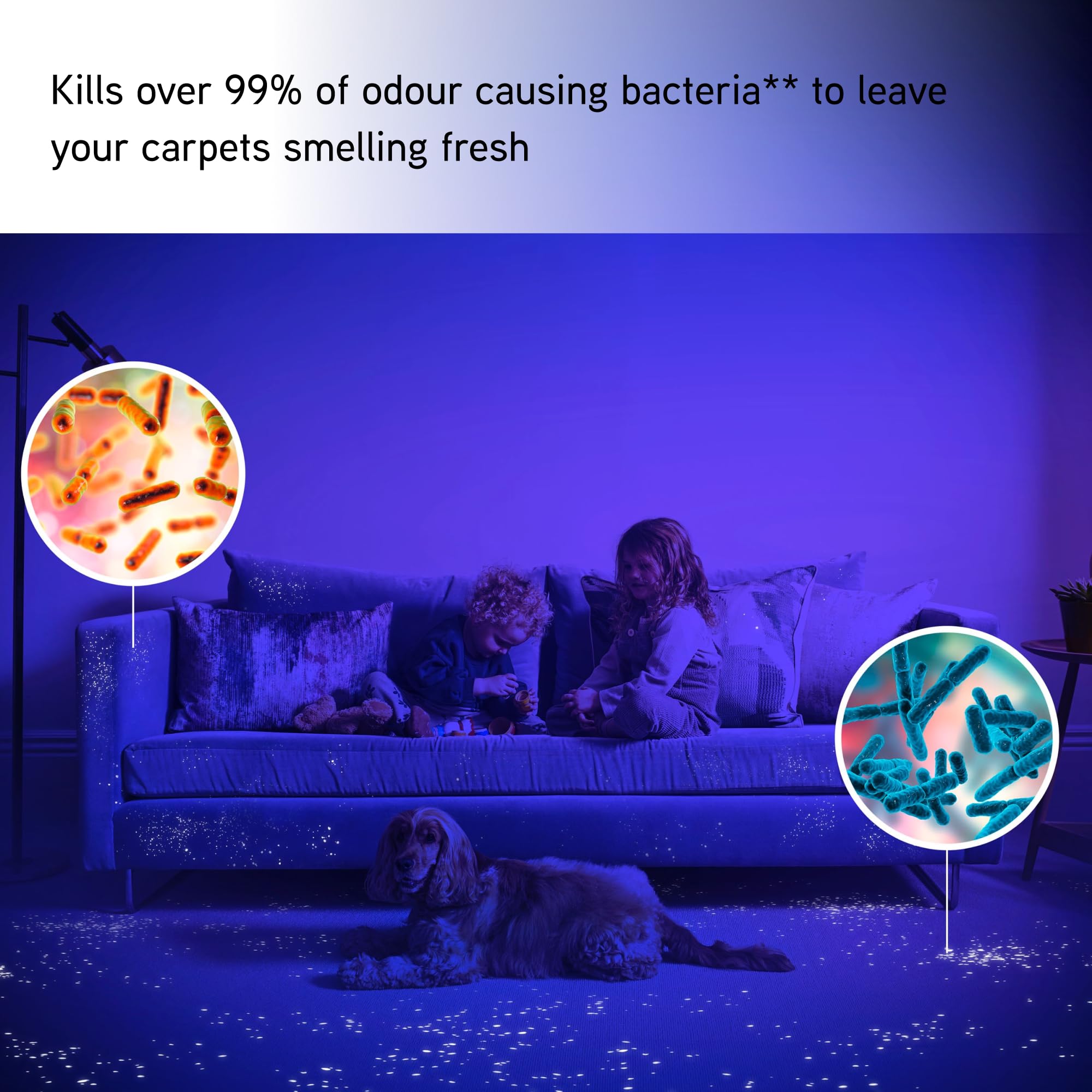 Vax Smartwash Pet-Design Carpet Cleaner | Kills 99% of Bacteria | Pre-treatment Wand – CDCW-SWXP, Grey, White and Teal