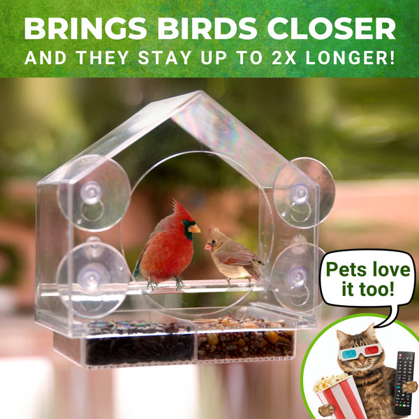 Birds-I-View Window Bird Feeder