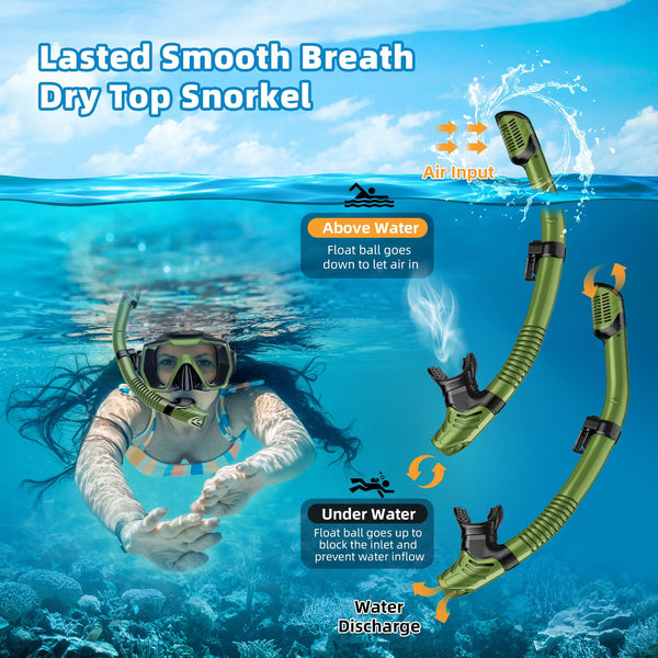 Honlanor Snorkel Set Adults Snorkeling Gear Anti-Leak and Anti-Fog Tempered Glass Lens Panoramic View Swim Mask Dry Top Snorkel Kit for Snorkeling Scuba Diving Swimming Travel with Carry Bag