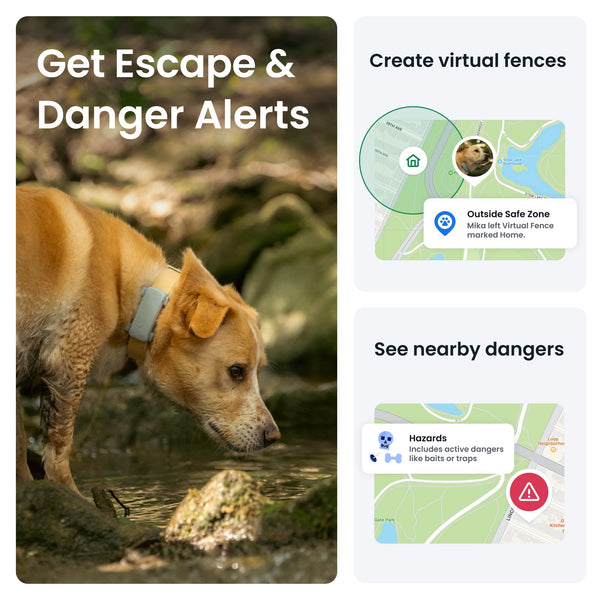 Tractive Smart Dog Tracker | 2025 Edition | Real-time GPS Tracking | Escape & Health Alerts | Vitals Monitoring | Market Leader (Black)