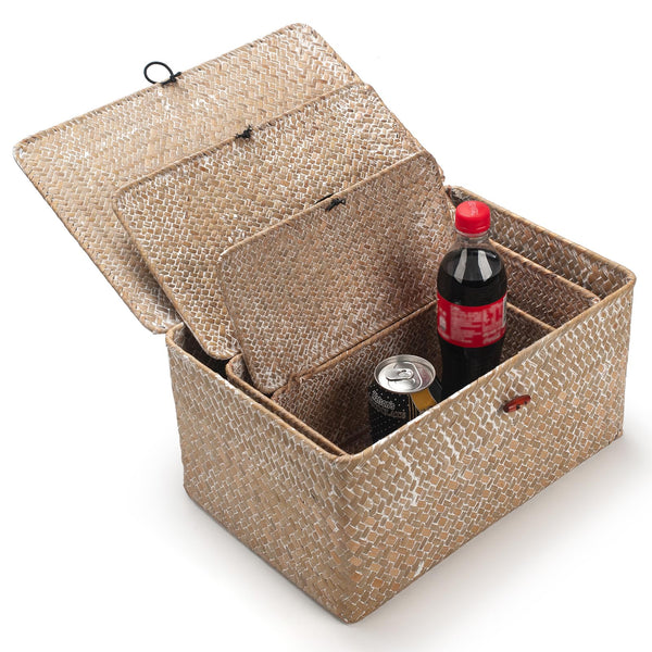 Seagrass Storage Baskets with Lid Natural Rattan Woven Rectangular Organizer Box Set of 3 (Whitewash Large+Medium+Small)