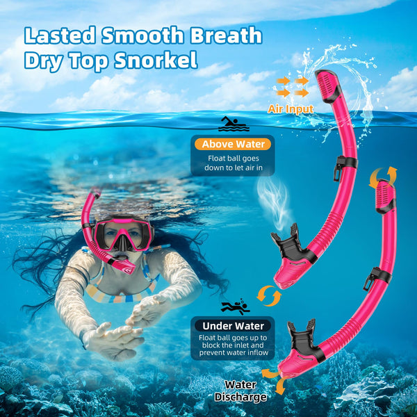 Honlanor Snorkel Set Adults Snorkeling Gear Anti-Leak and Anti-Fog Tempered Glass Lens Panoramic View Swim Mask Dry Top Snorkel Kit for Snorkeling Scuba Diving Swimming Travel with Carry Bag