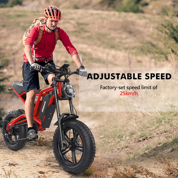 iENYRID Electric Bike for Adults,Fat Tire Hidoes B6 25KM/H Electric Bike Bicycles 15Ah Removable Battery E Bikes for Adults Electric Mountain Bike for Men