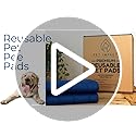 PET IMPACT Washable Puppy Pads, Dog Incontinence Pads, XL Reusable Dog Pee Pad and Puppy Training Pads, Easy Wash and Dry 2-Pad Box (Midnight Blue, 35"x32")