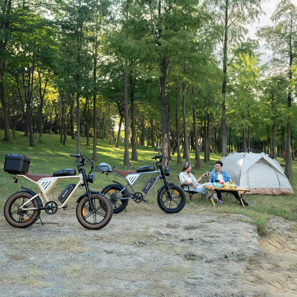 X70 Adult E-Bike with 65 Nm Motor, 120 miles of range,48V/34Ah Newly Upgraded Dual Battery, 20’ x 4.0 All Terrain Wide Tyre E-Bike with Unlockable Multiple Performance Modes,CE certification