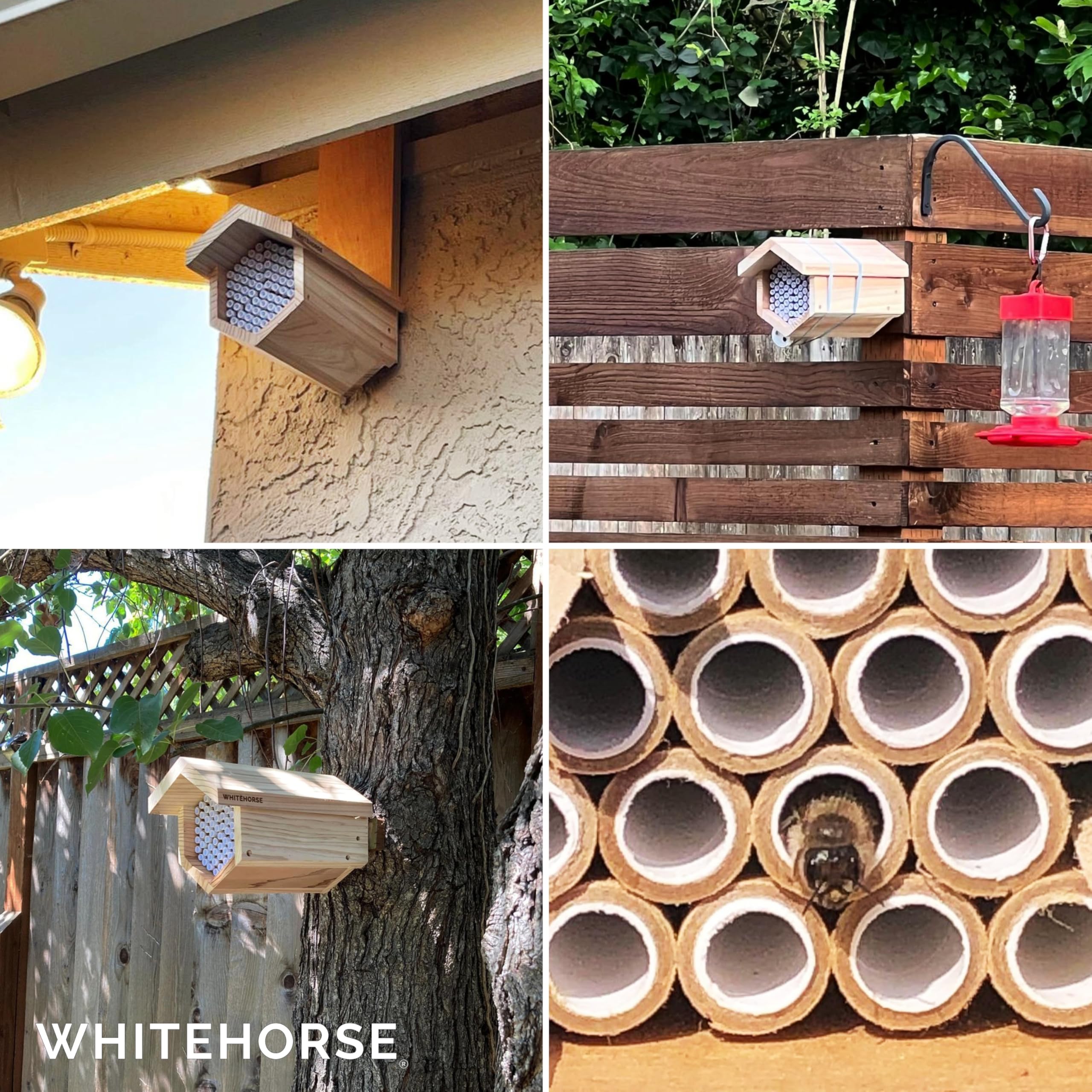 WHITEHORSE Premium Cedar Bee House - 15 cm Long Replaceable Tubes - Perfect for Mason Beekeeping - An Insect Hotel Built to Last - Support Bees While