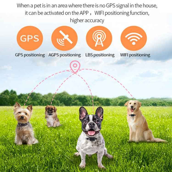 P03 2G Waterproof Pet GPS Tracker GPS+AGPS+WiFi+LBS Locator, P03