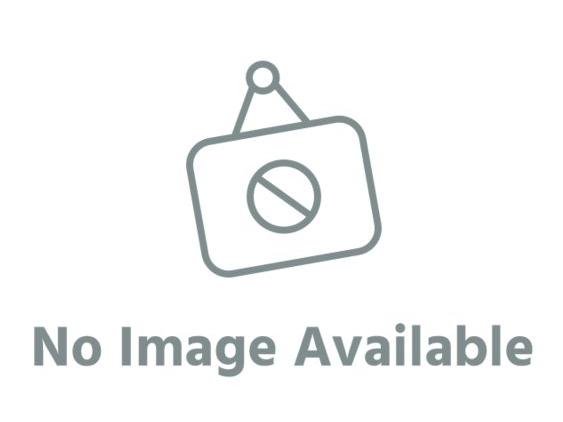 Lotus 79 -Mario Andretti F1 1978 1:43 Scale Diecast Model