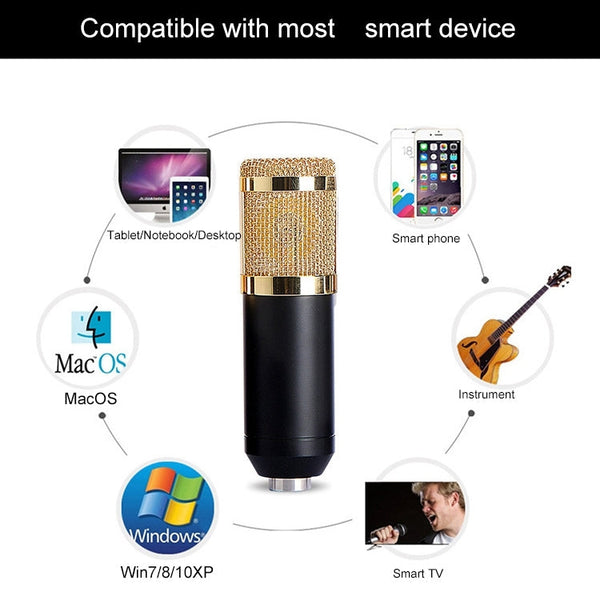 BM-800 Network K-Song Dedicated High-end Metal Shock Mount Microphone Set